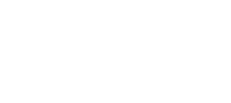 Granite Guru